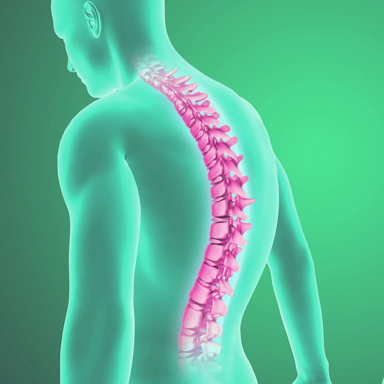 Il mal di schiena: cause fisiche e psicologiche
