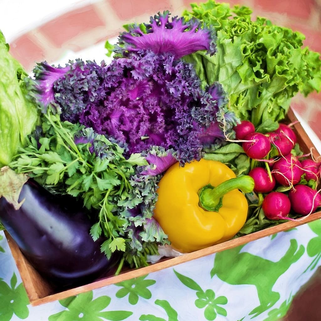 alimentazione sana