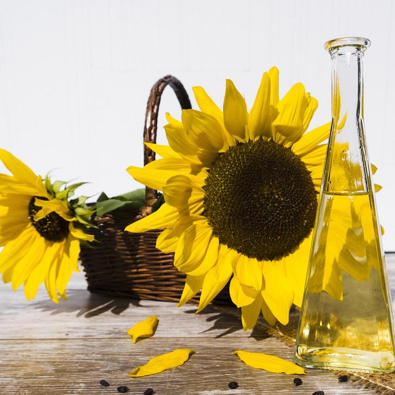 Lista Alimenti con Omega 6: i principali per il giusto equilibrio