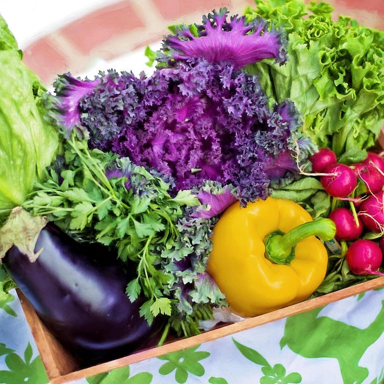 Quali verdure mangiare in caso di colite e colon irritabile?
