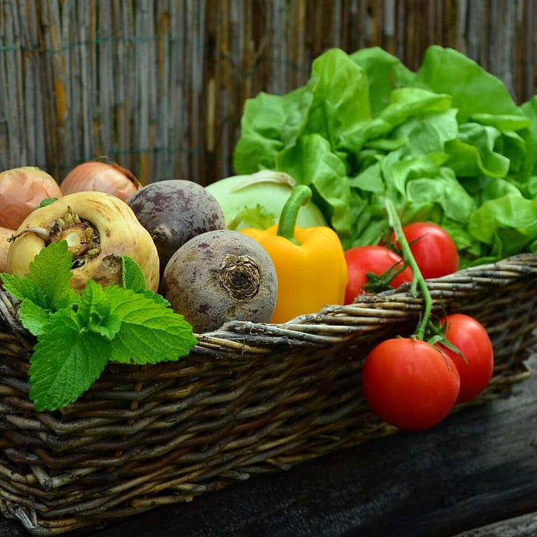 Prodotti alimentari bio: conviene sceglierli?
